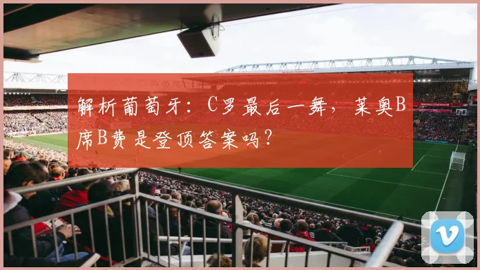 解析葡萄牙：C罗最后一舞，莱奥B席B费是登顶答案吗？