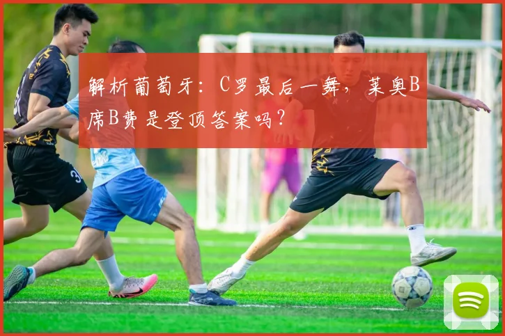 解析葡萄牙：C罗最后一舞，莱奥B席B费是登顶答案吗？